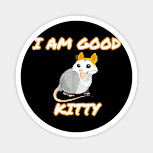 I am Good Kitty Magnet